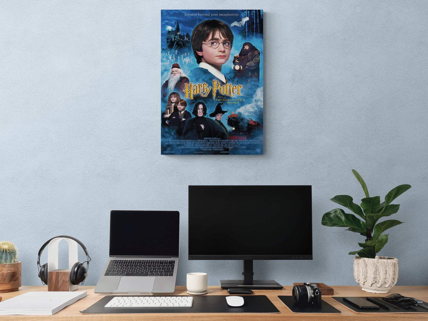 Harry Potter
