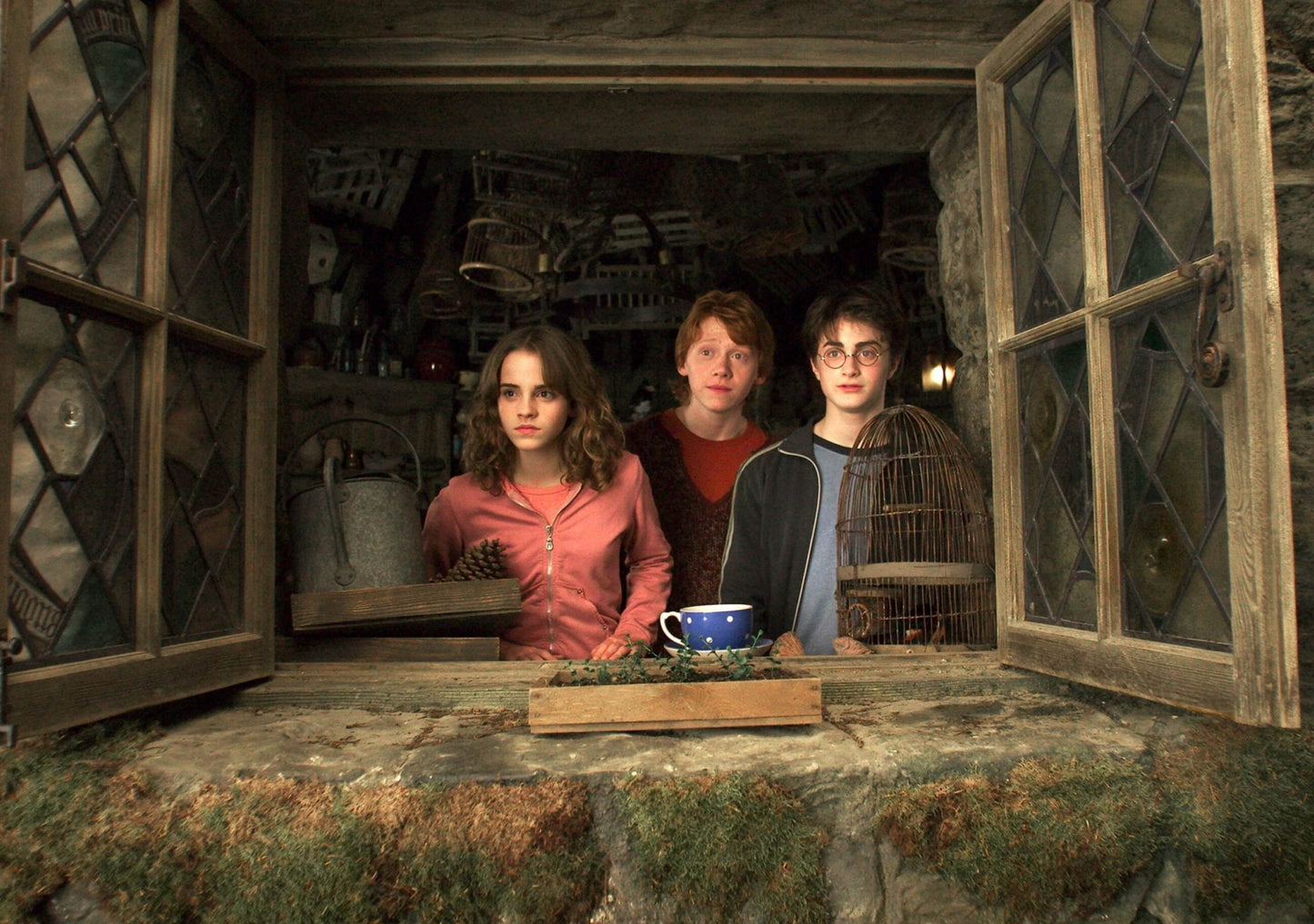 Harry Potter