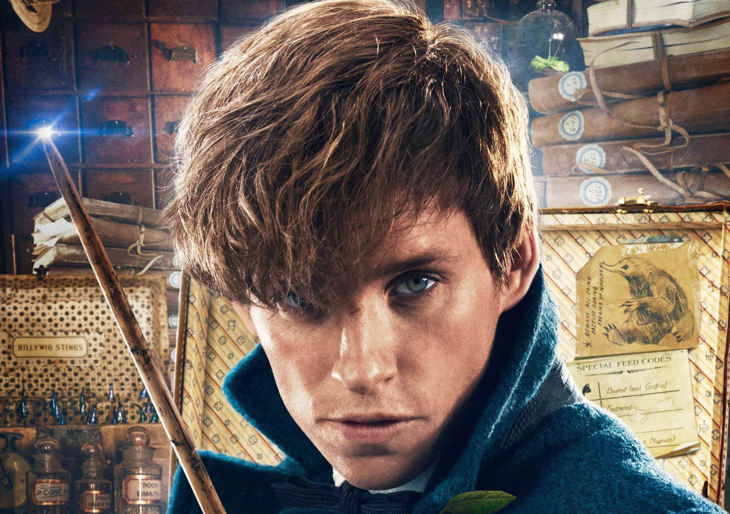 Fantastic Beasts And Where To Find Them