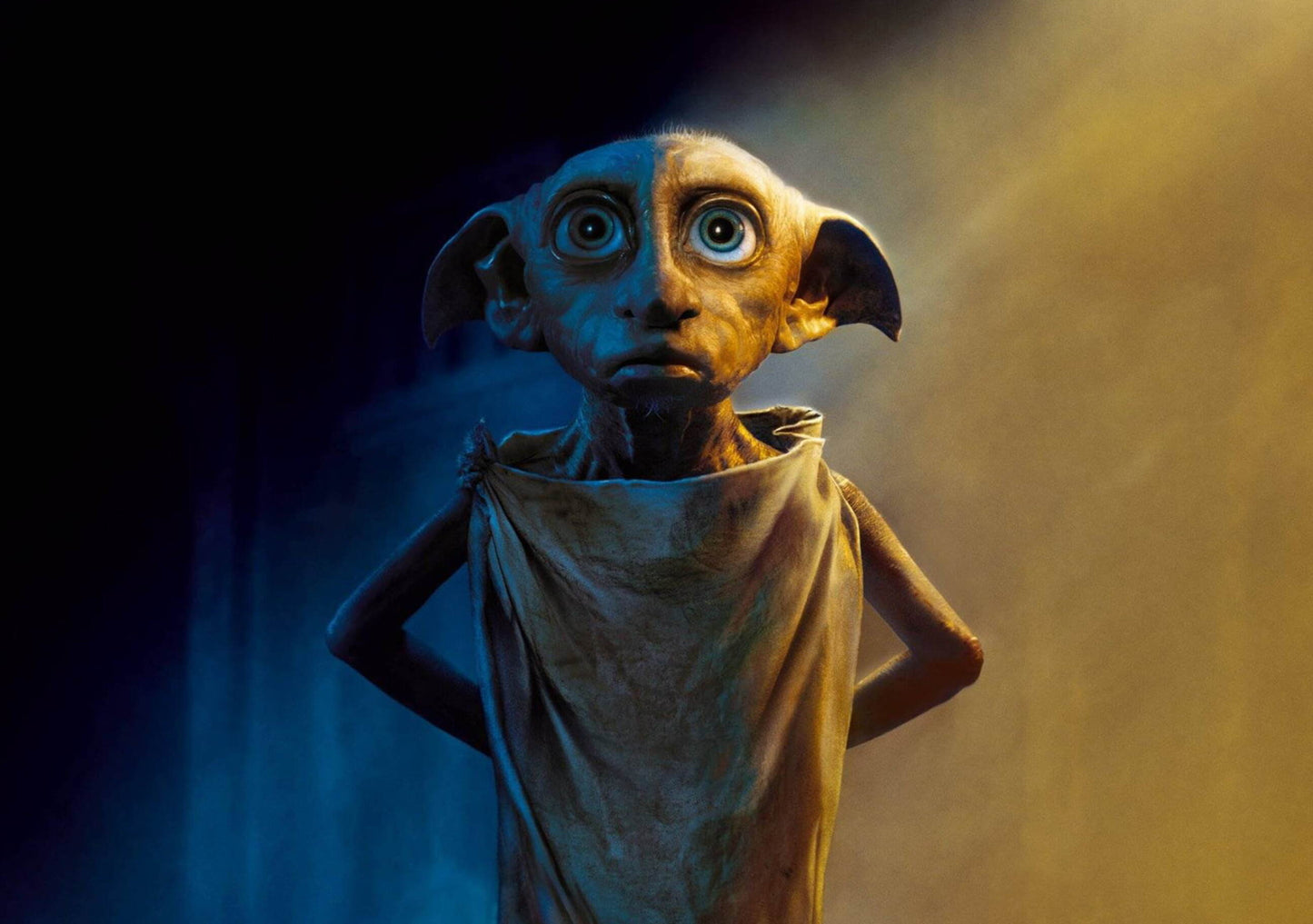 Harry Potter