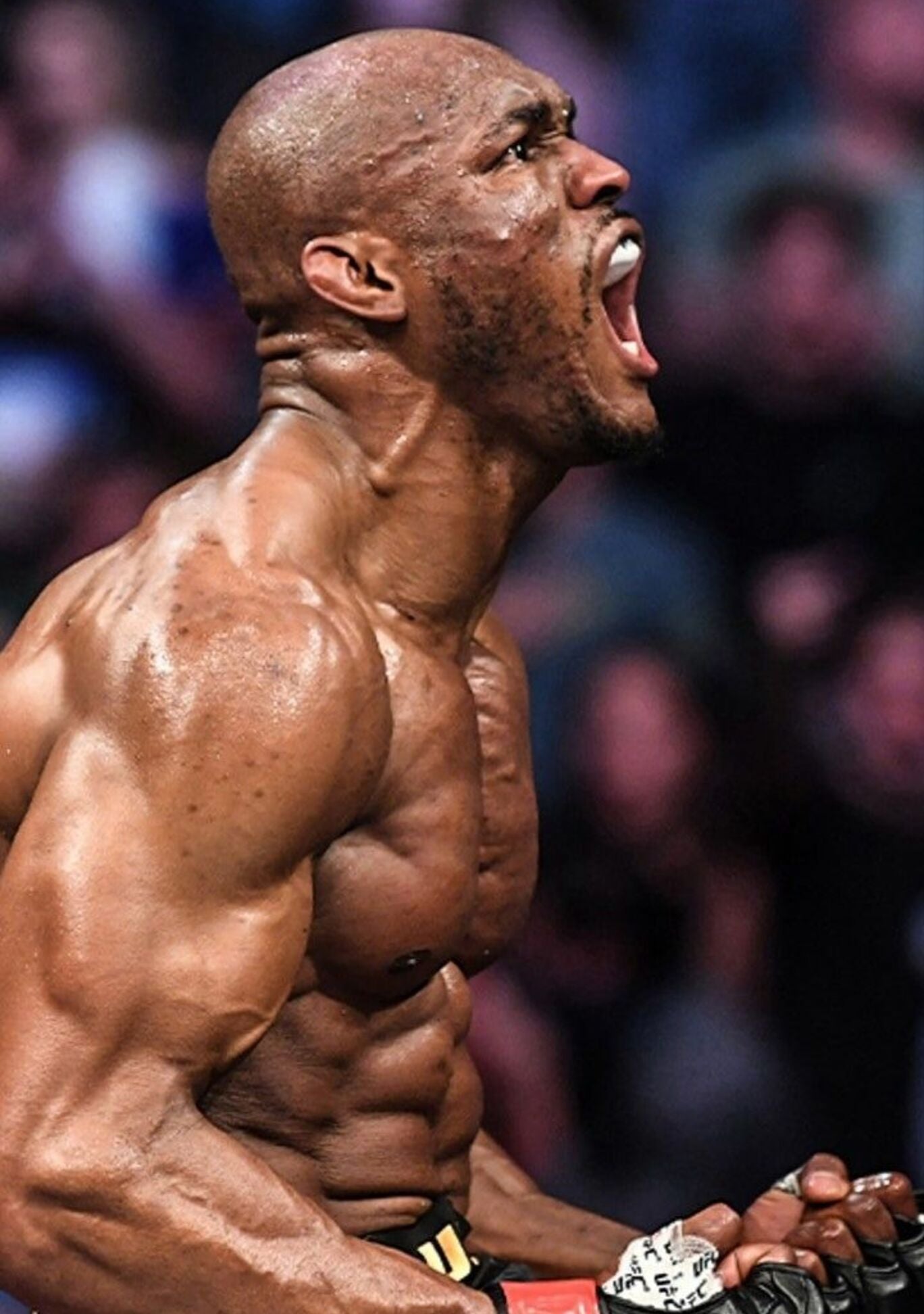 MMA