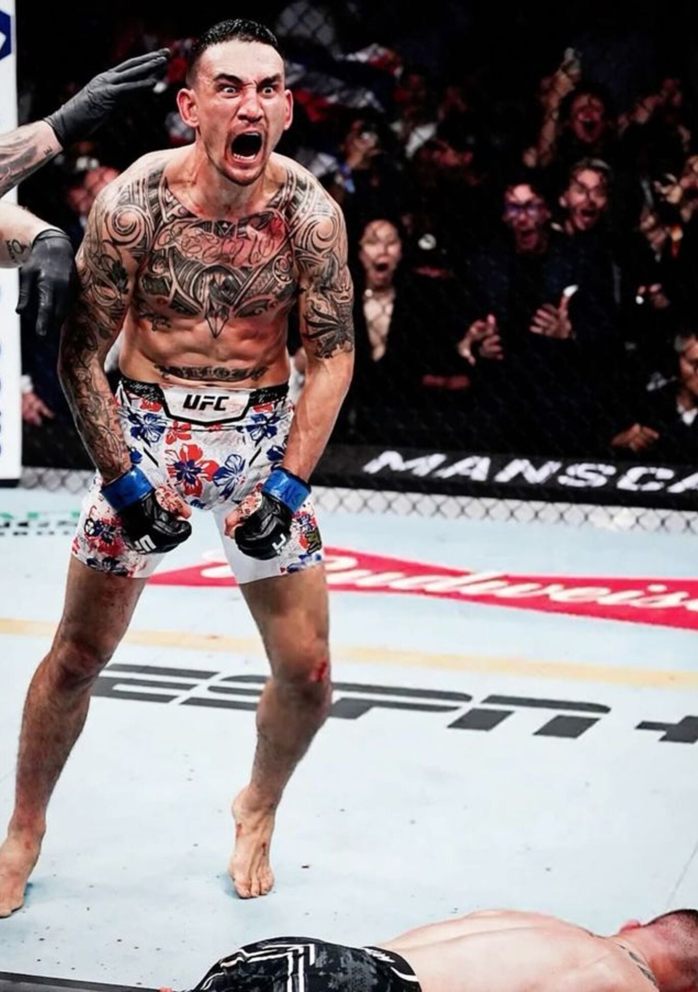 MMA