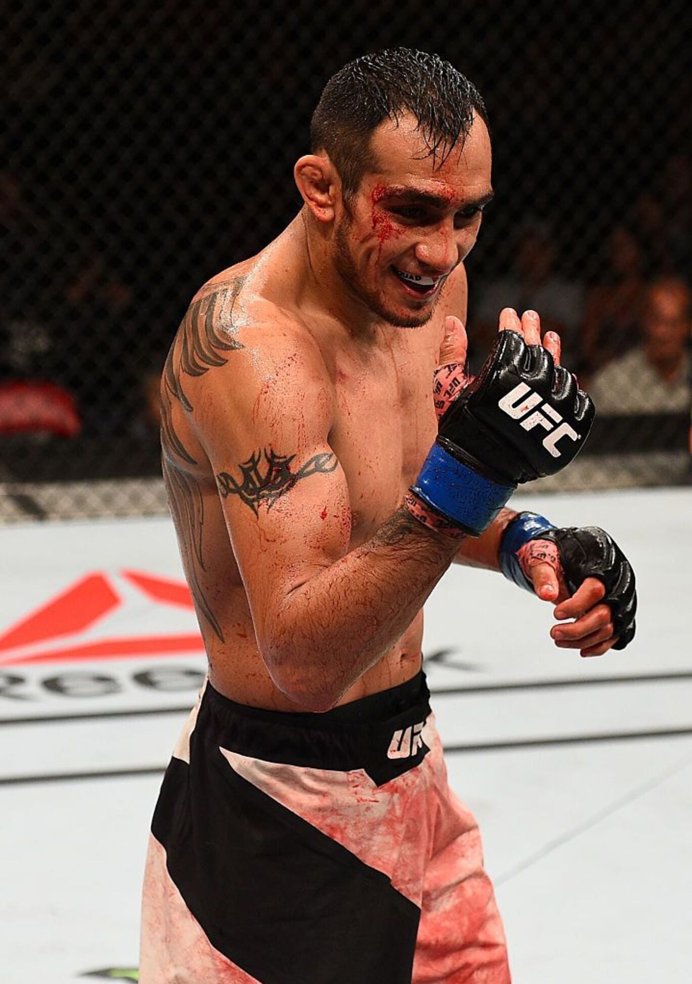 MMA