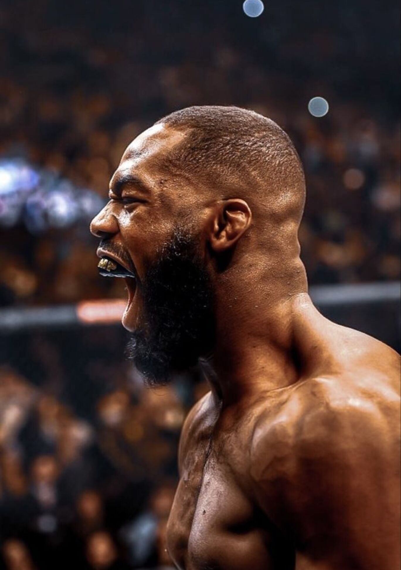 MMA