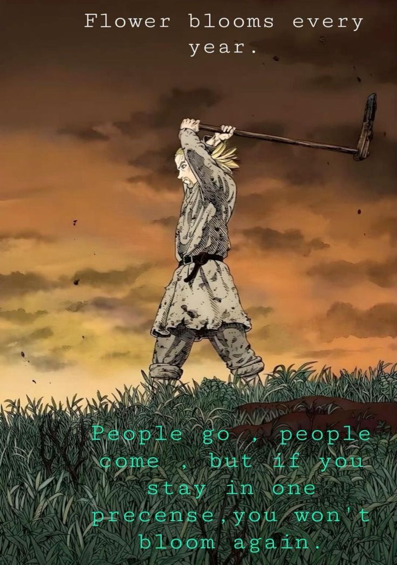 Vinland Saga