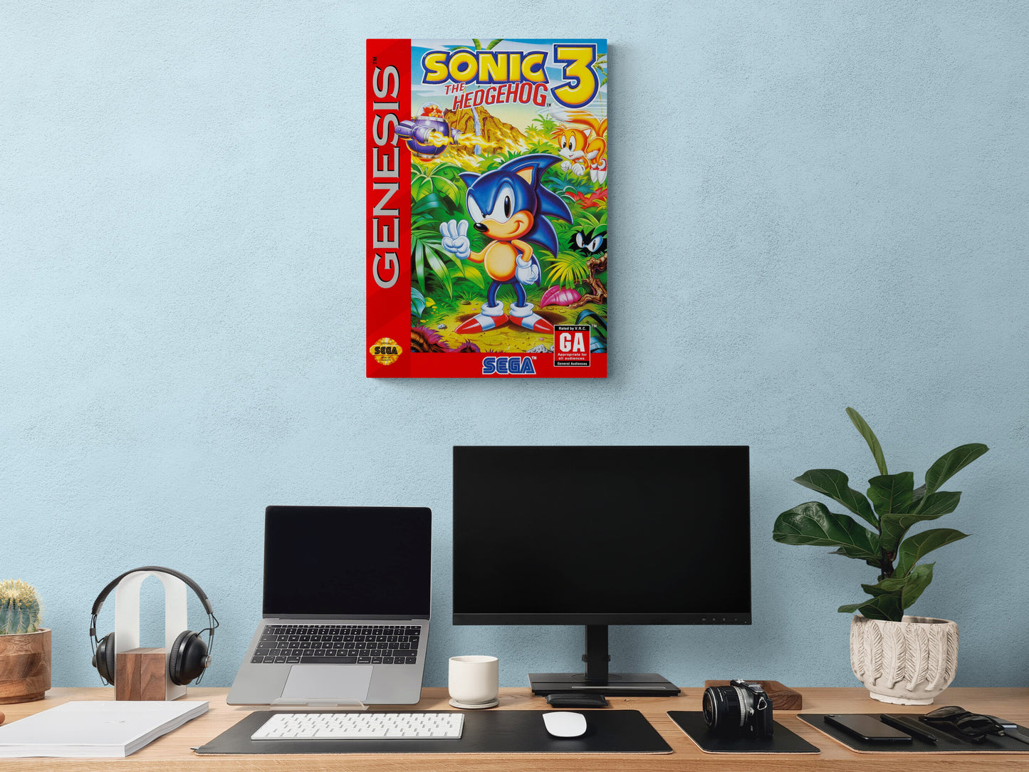 Sonic