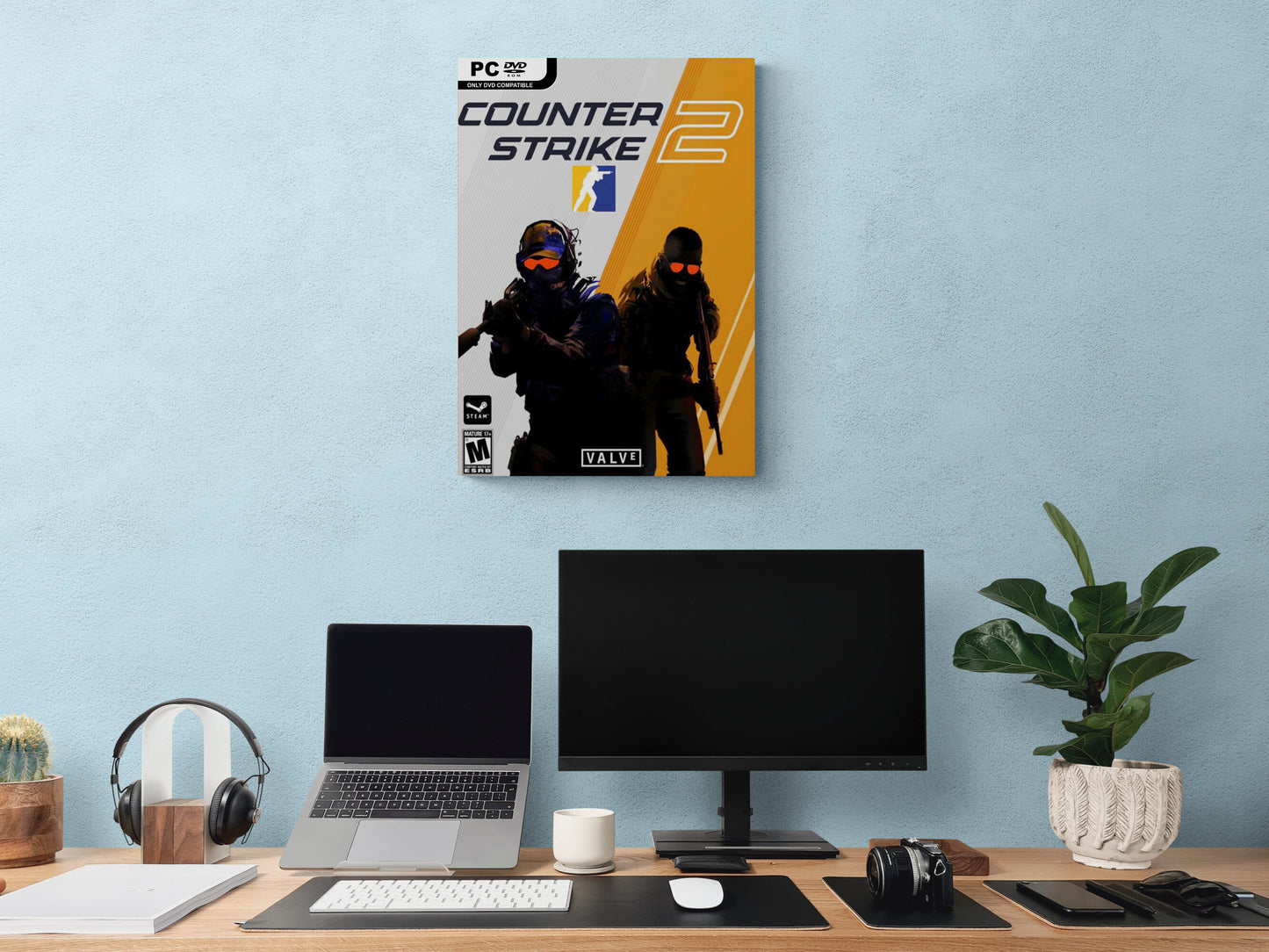 CS GO/CS 2