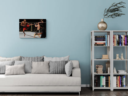 MMA