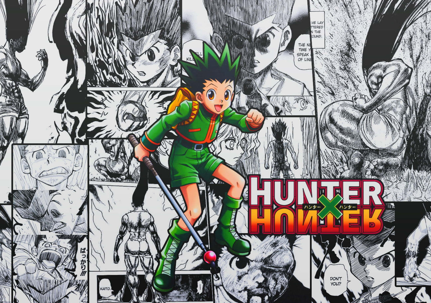 Hunter x Hunter