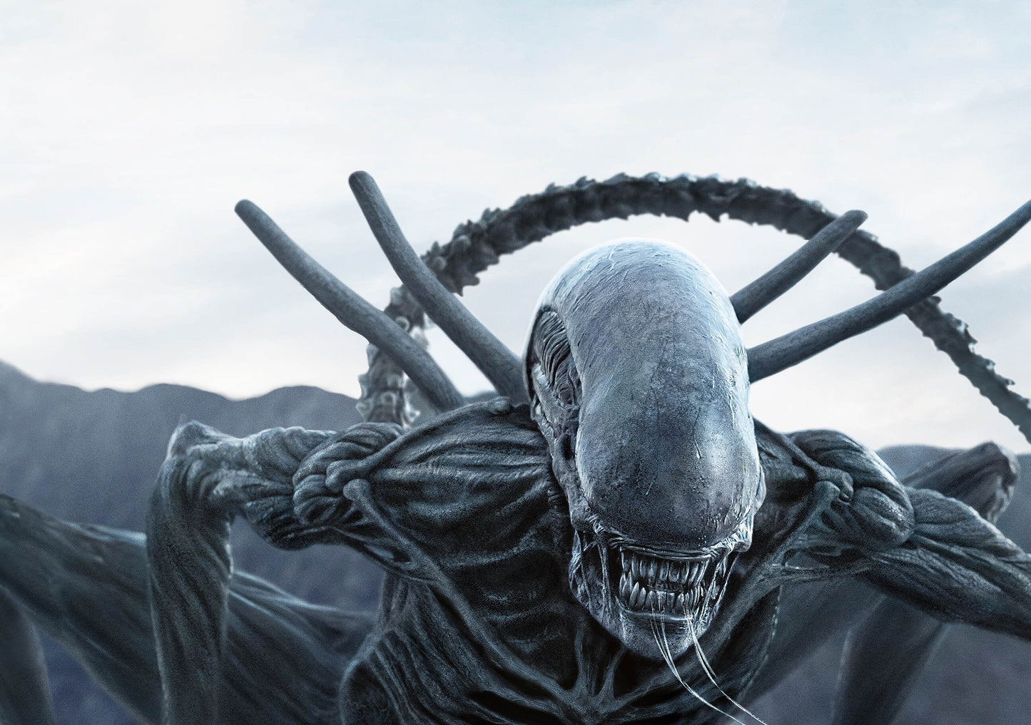 Alien