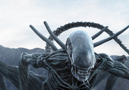 Alien