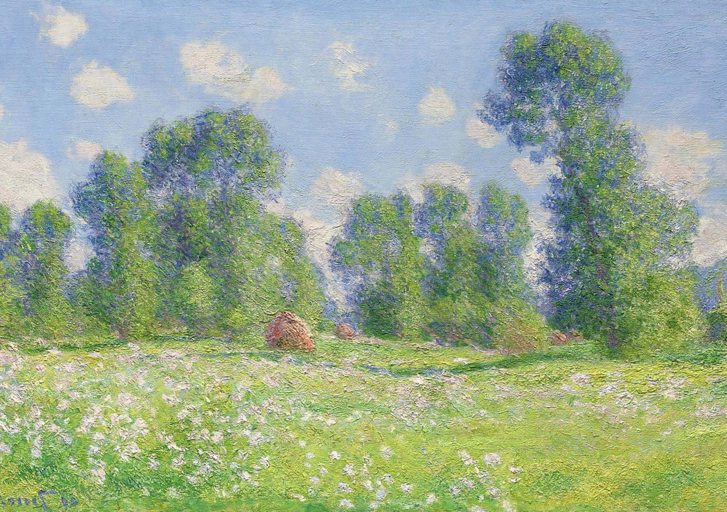 Poljane