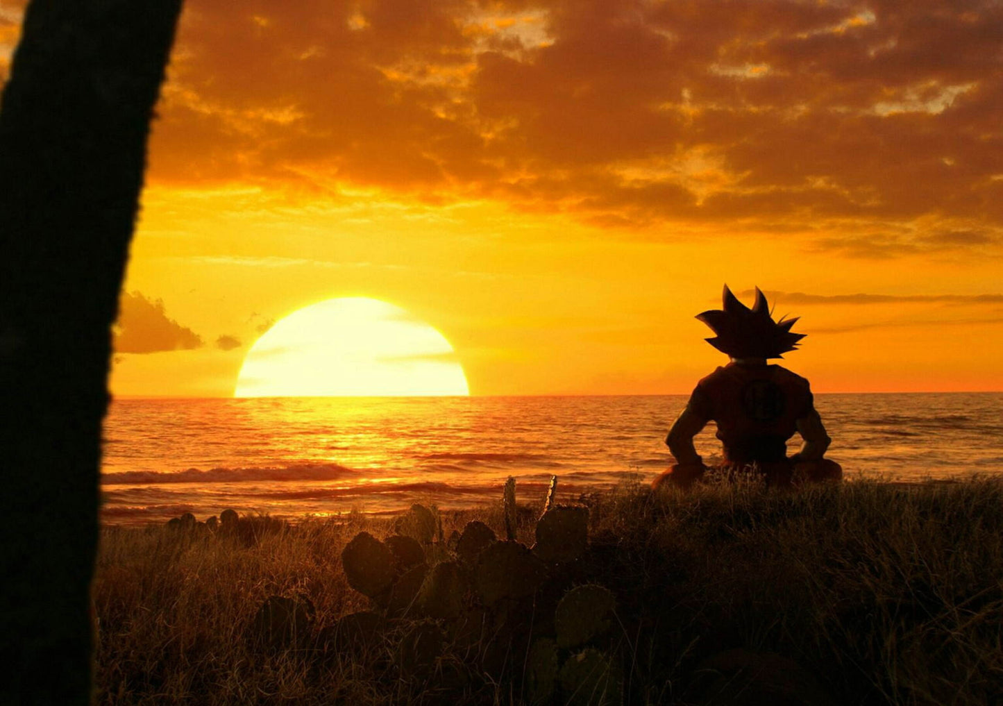 Dragon Ball