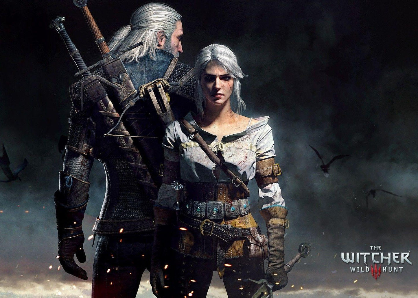 The Witcher