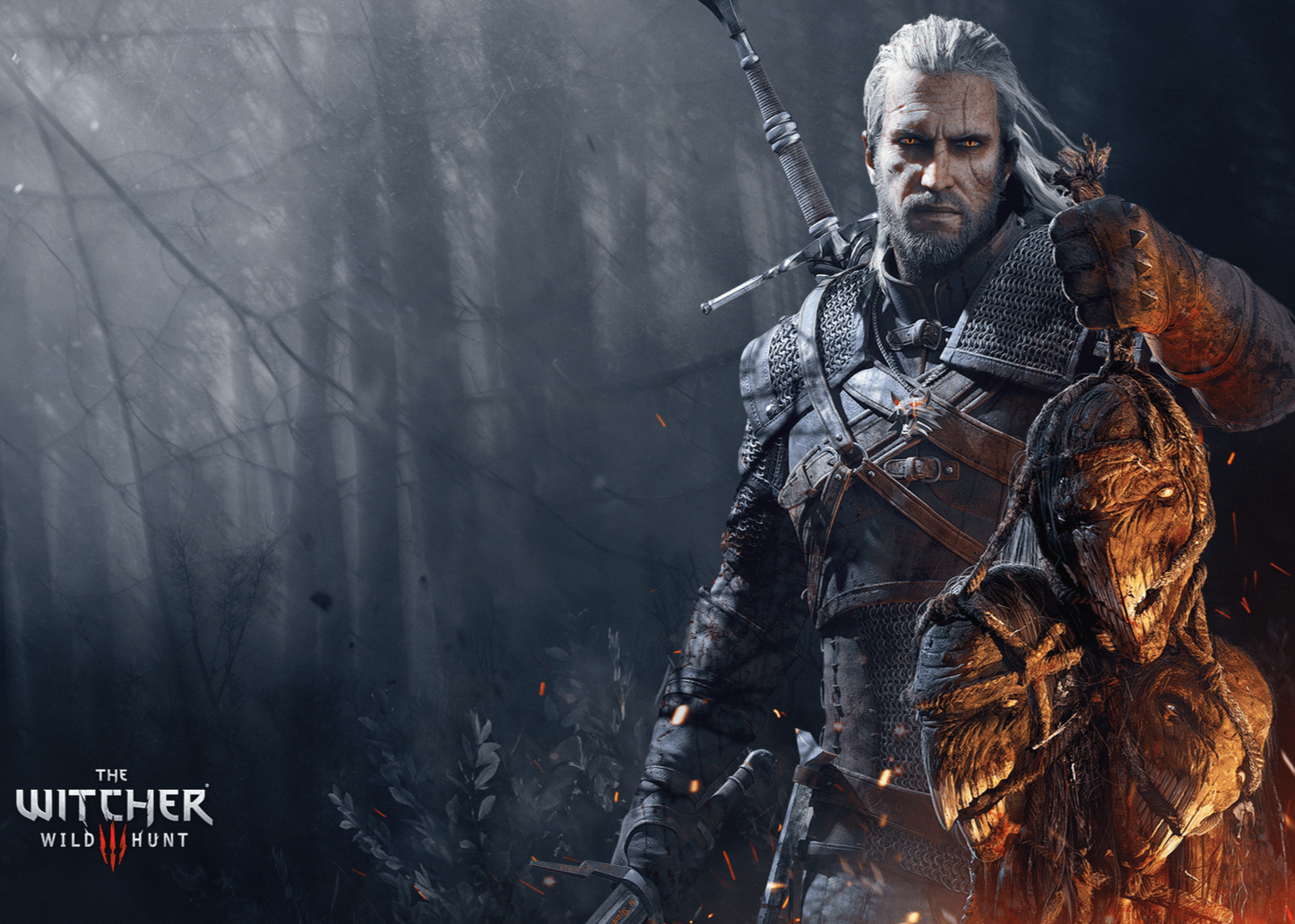 The Witcher