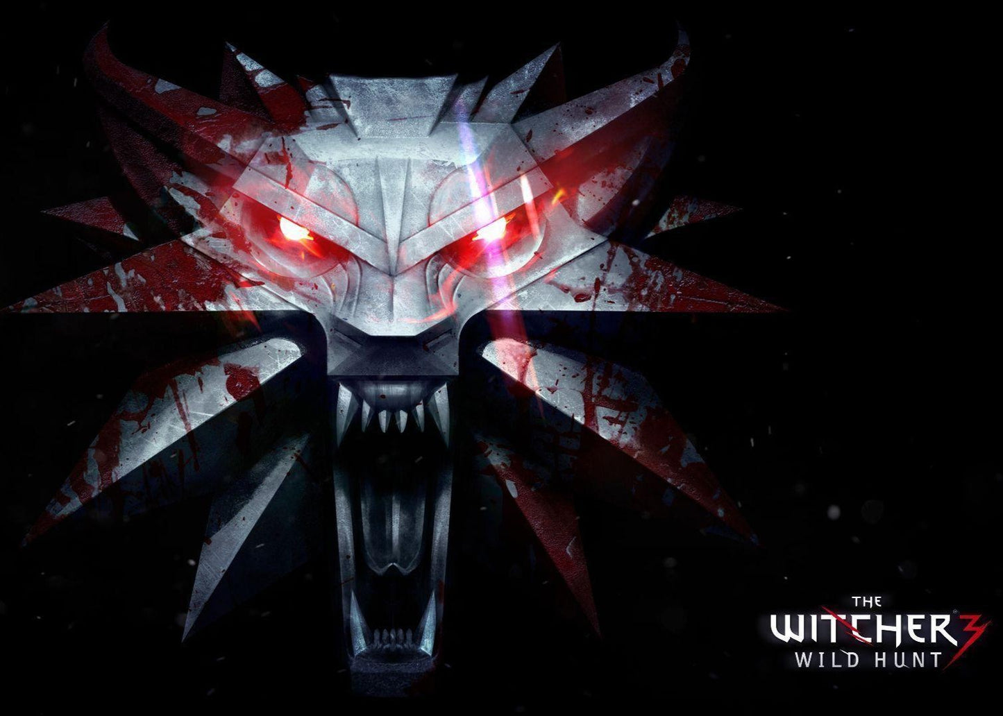 The Witcher