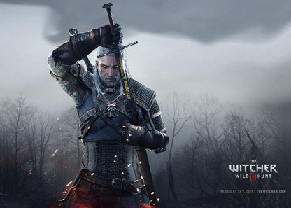 The Witcher