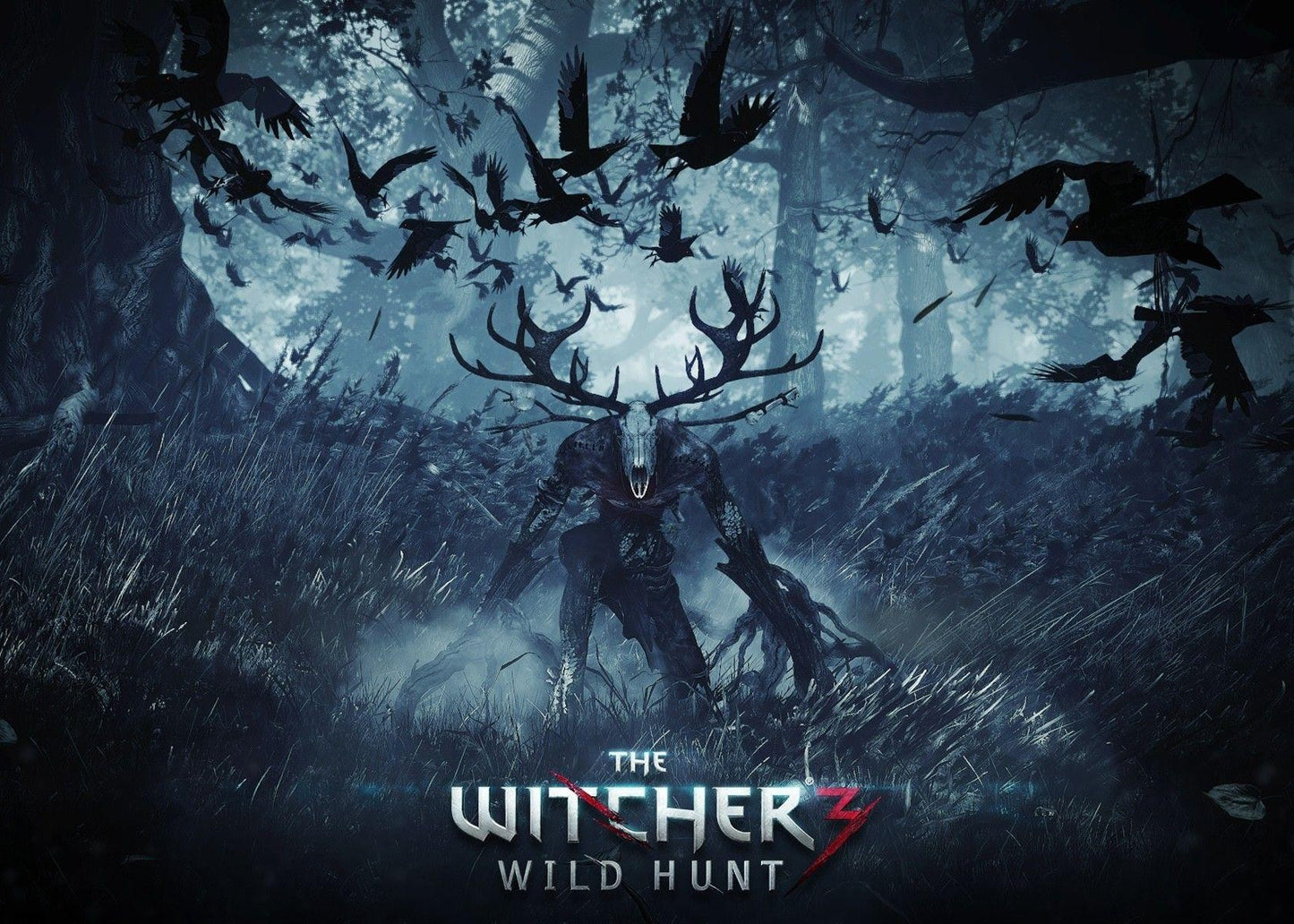 The Witcher